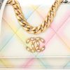 Printed Goatskin Quilted Chanel 19 Wallet On Chain WOC White Multicolor