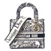 Design CHRISTIAN DIOR Toile de Jouy Embroidered Medium Lady D-Lite Blue (Copy)